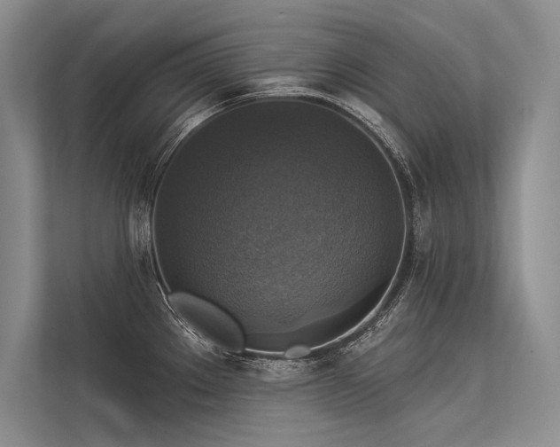 X0000113341289200909221116