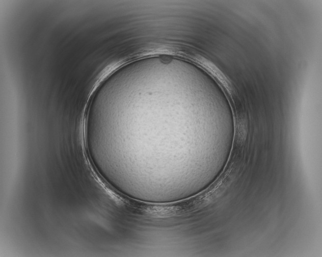 X0000113341290200909221116