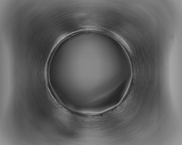 X0000113341291200909221116