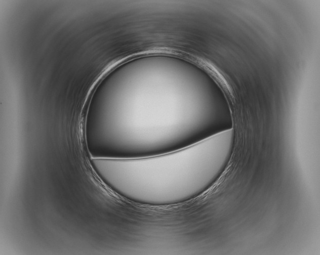 X0000113341292200909221116