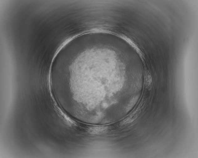 X0000113341294200909221116