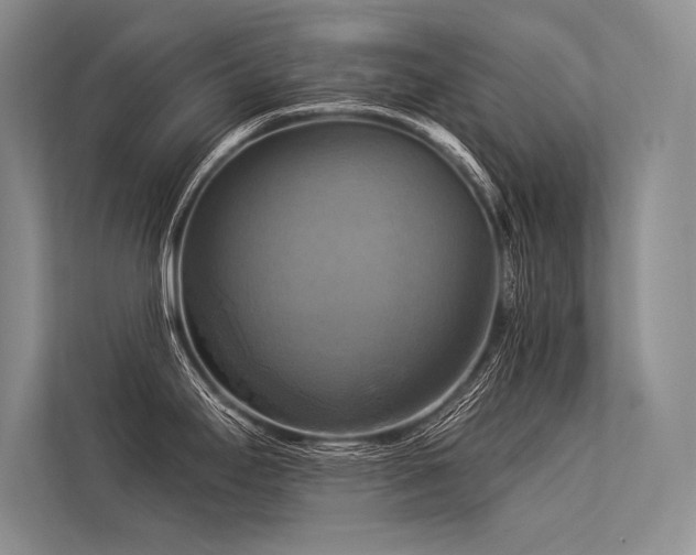 X0000113341295200909221116