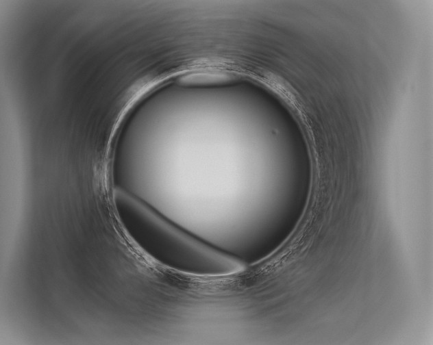 X0000113341296200909221116