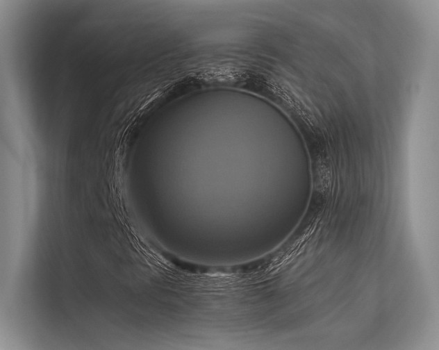 X0000113341297200909221115