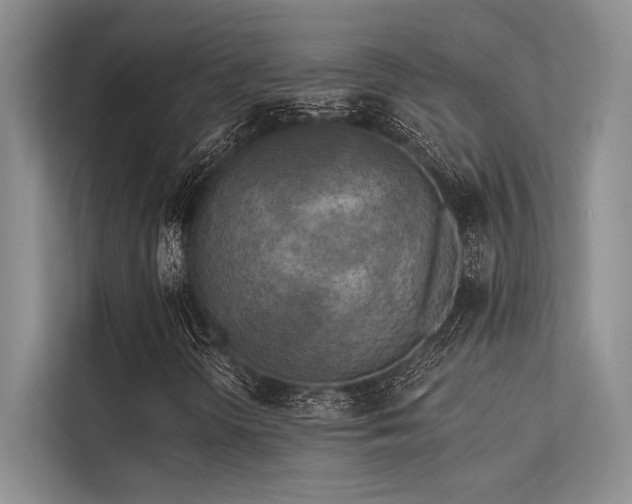 X0000113341298200909221115