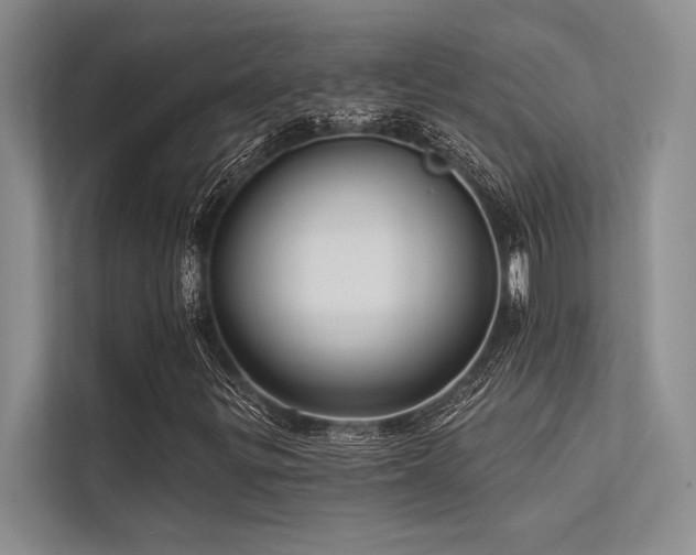 X0000113341299200909221115