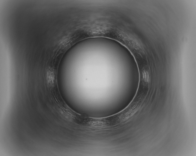 X0000113341300200909221115