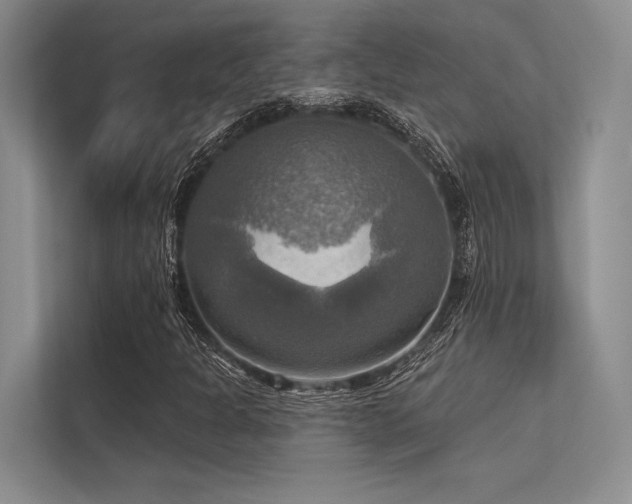 X0000113341301200909221115