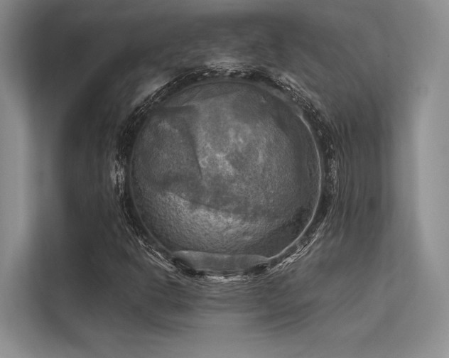 X0000113341302200909221115