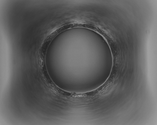 X0000113341303200909221115