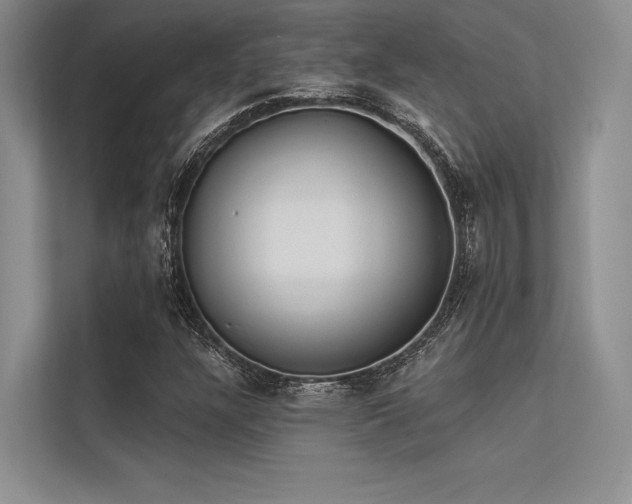 X0000113341304200909221115