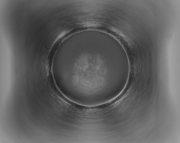 X0000113341306200909221115