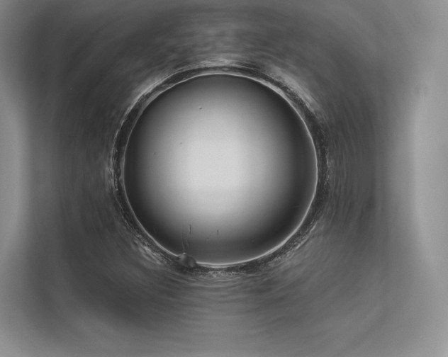 X0000113341308200909221115