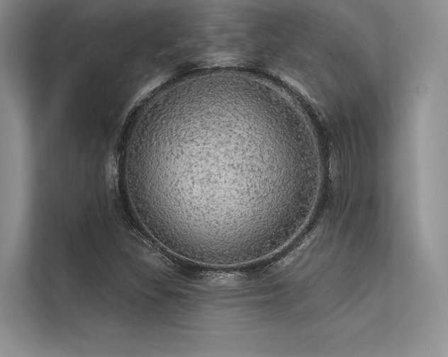 X0000113341309200909221115