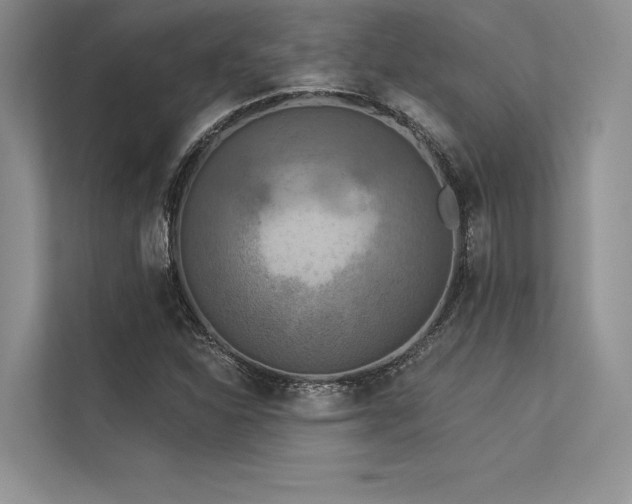 X0000113341310200909221115