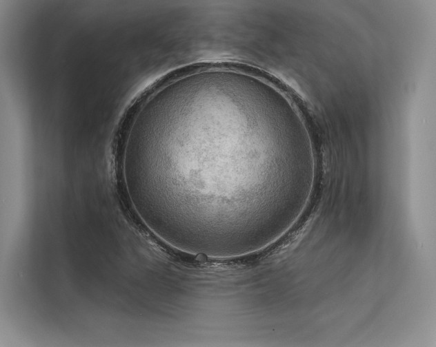 X0000113341311200909221115