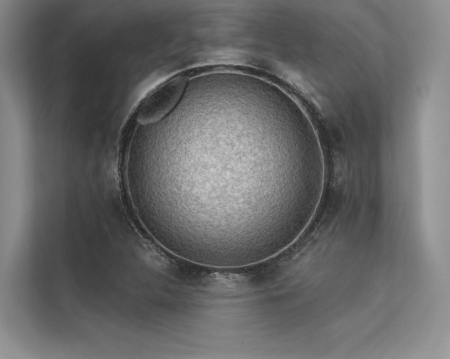 X0000113341312200909221115