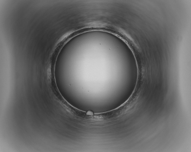 X0000113341315200909221115