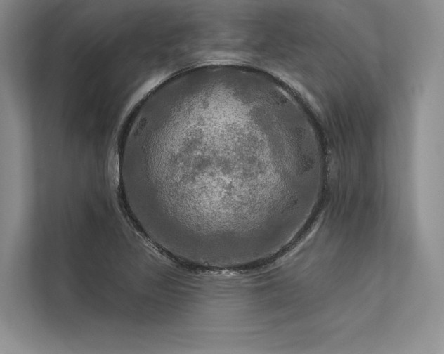 X0000113341317200909221115