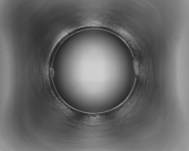 X0000113341326200909221115