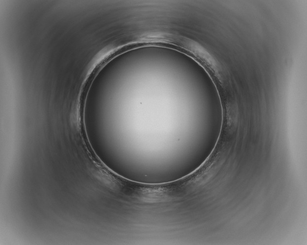 X0000113341328200909221115