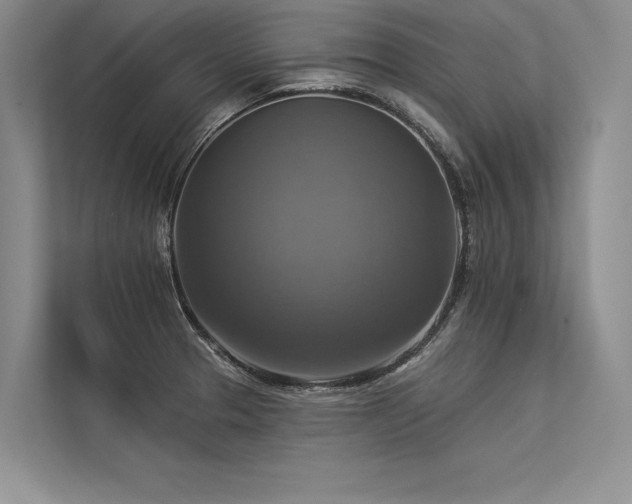 X0000113341329200909221115