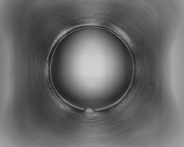 X0000113341332200909221115