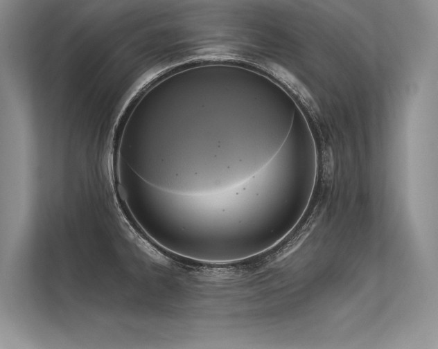 X0000113341334200909221116