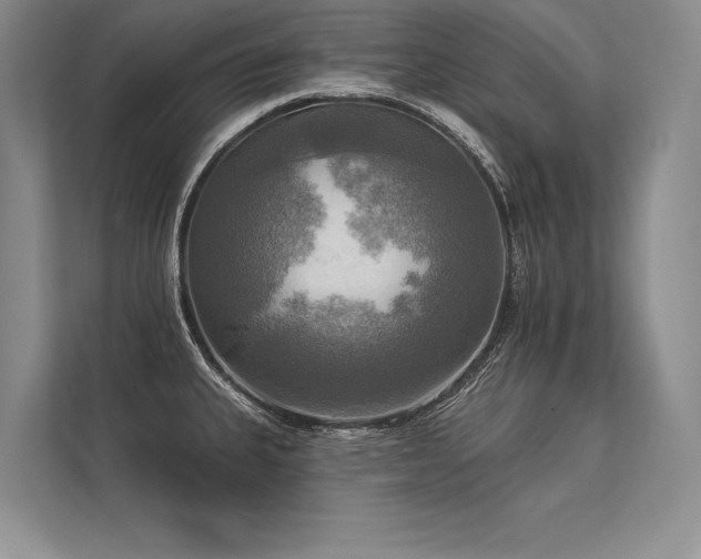 X0000113341335200909221116