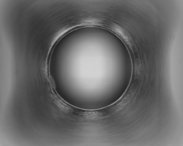 X0000113341336200909221116