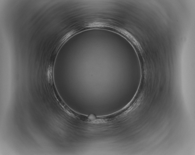 X0000113341337200909221116