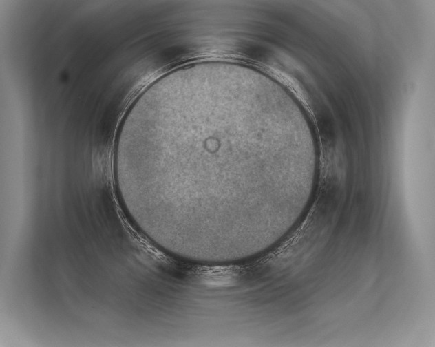 X0000113341338200909221116