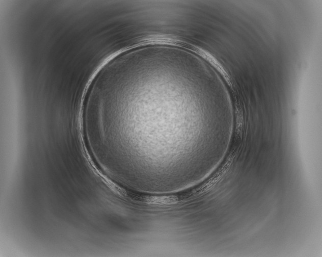 X0000113341339200909221116