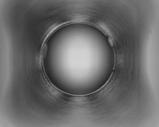 X0000113341340200909221116