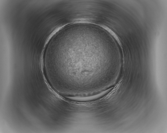 X0000113341341200909221116