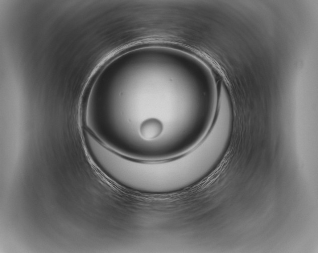 X0000113341342200909221116