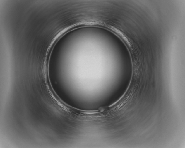 X0000113341343200909221116