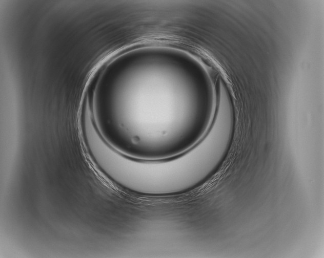 X0000113341344200909221116