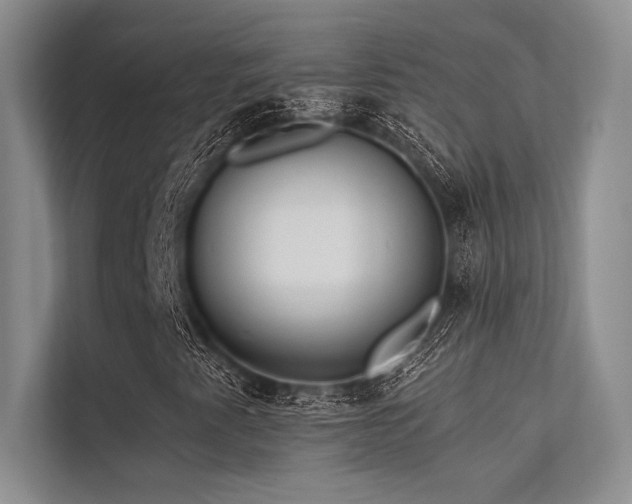 X0000113341345200909221115