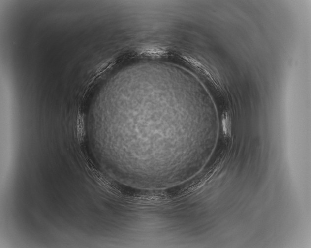 X0000113341347200909221115