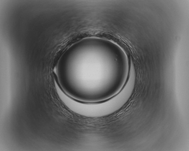 X0000113341349200909221115