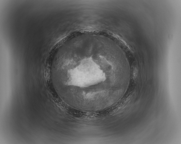 X0000113341350200909221115