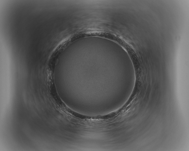 X0000113341351200909221115