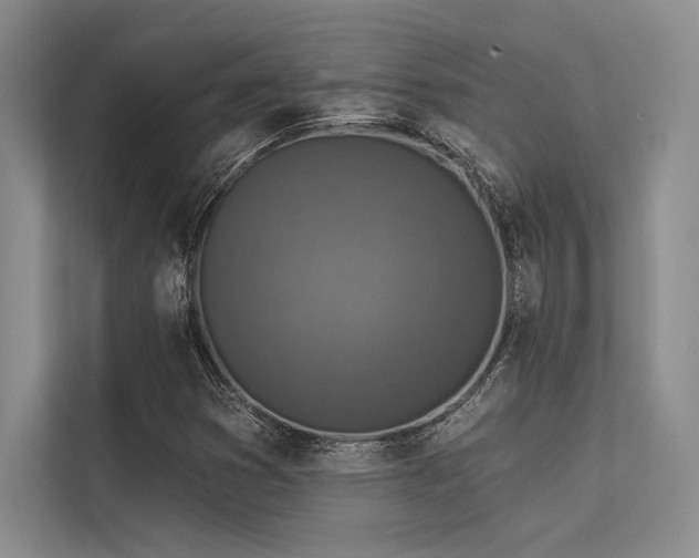 X0000113341353200909221115