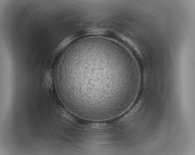 X0000113341354200909221115