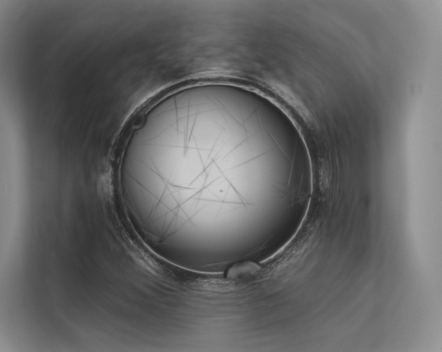 X0000113341356200909221115