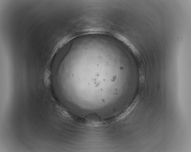 X0000113341357200909221115