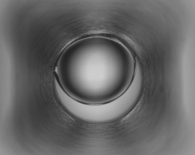 X0000113341361200909221115