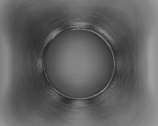 X0000113341362200909221115