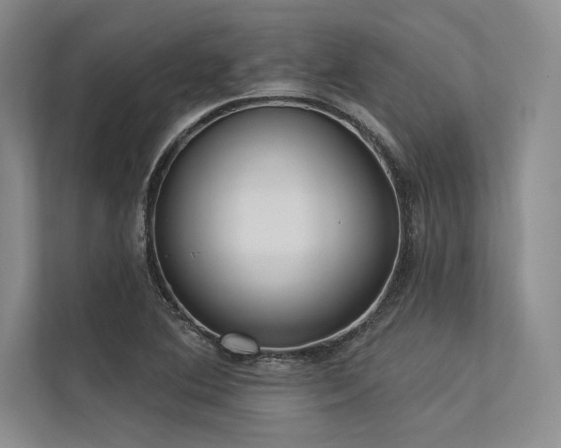 X0000113341364200909221115